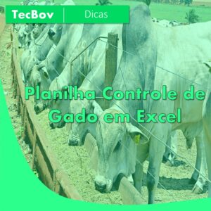 planilha-controle-de-gado-em-excel