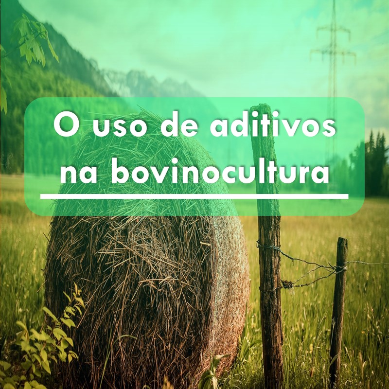 o-uso-de-aditivos-na-bovinocultura