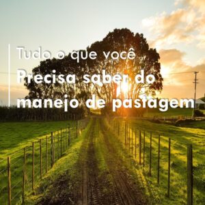 tudo-o-que-voce-precisa-saber-sobre-manejo-de-pastagem