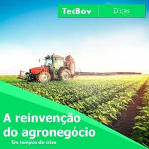 a-reinvenção-do-agronegocio-em-tempos-de-crise