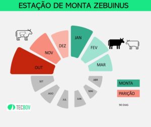 estacao-de-monta