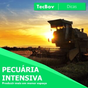 pecuaria-intensiva-produzir-mais-em-menos-tempo