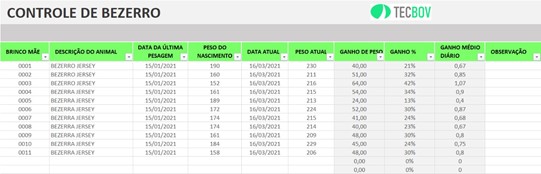 planilha-controle-bezerros-gratis