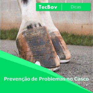 prevencao-de-problemas-no-casco