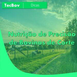 Nutrição de Precisão de Bovinos de Corte