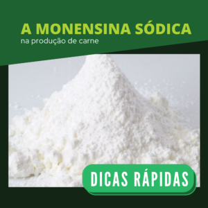 a-monensina-sodica-na-producao-de-carne