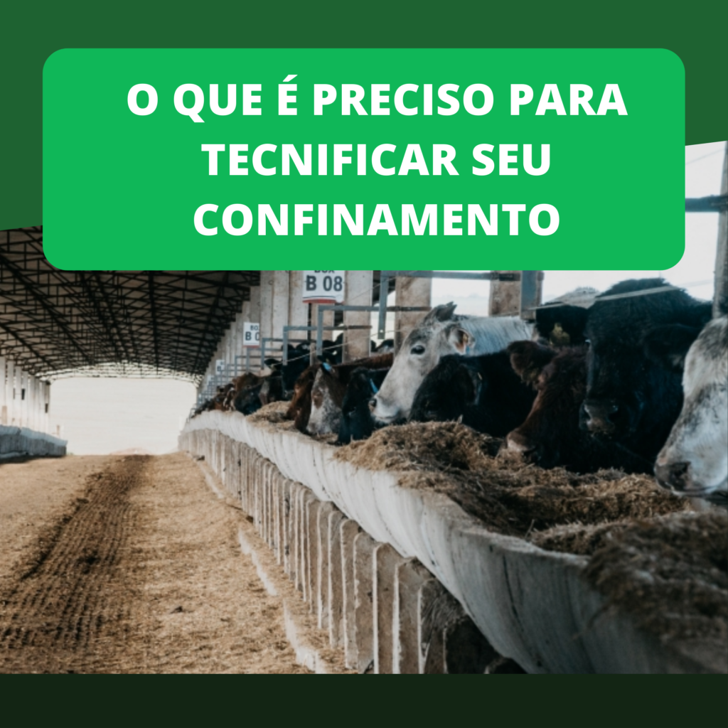 O que é preciso para tecnificar o seu confinamento