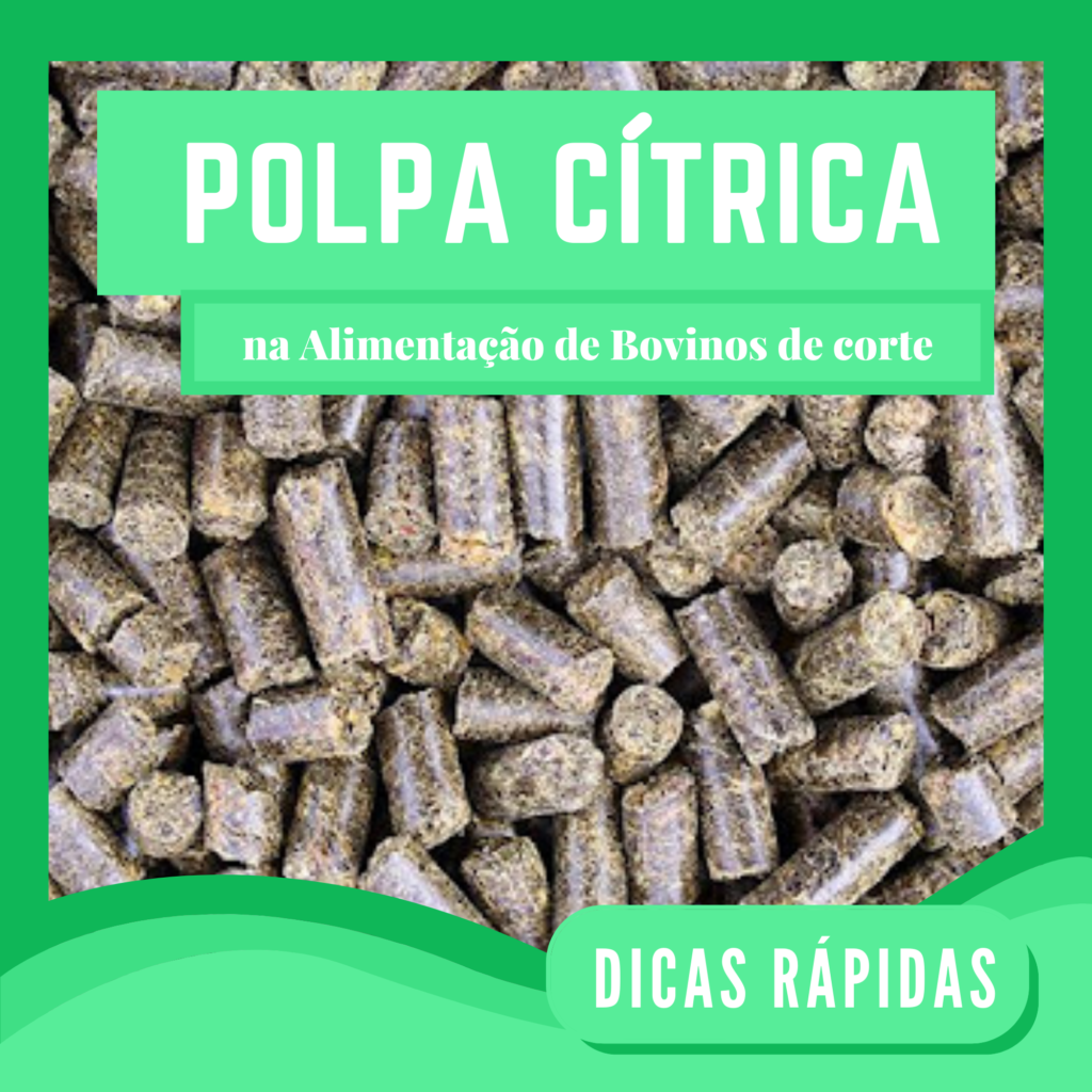 Polpa cítrica na alimentacao de bovinos de corte