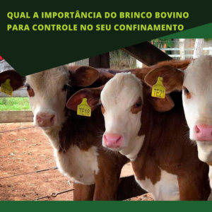 Qual a importância do brinco bovino para controle no seu confinamento