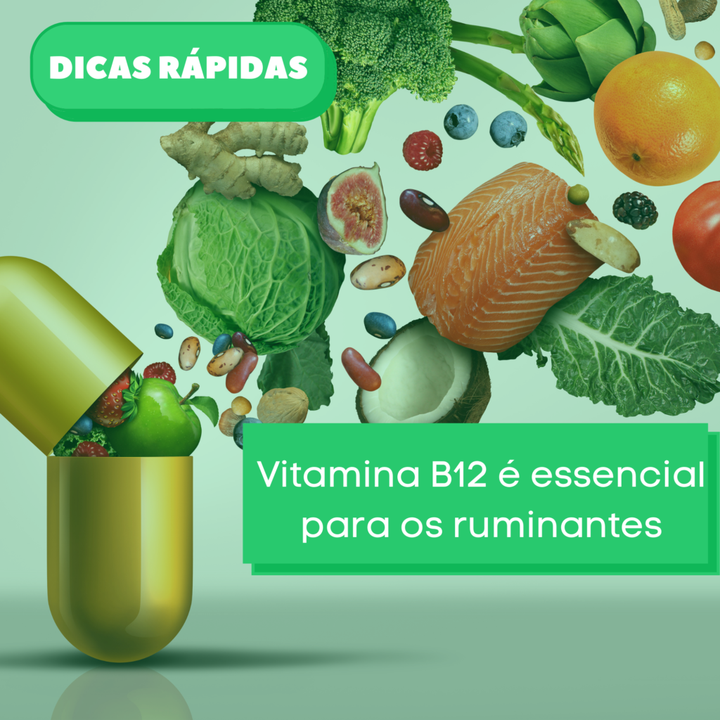 Vitamina B12 é essencial para os ruminantes