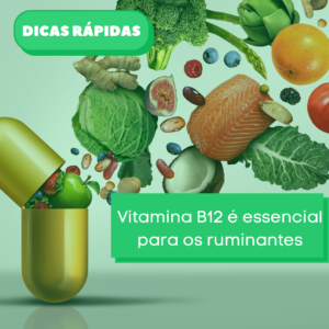 Vitamina B12 é essencial para os ruminantes