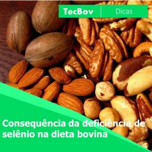 consequencia-da-deficiencia-de-selenio-na-dieta-bovina