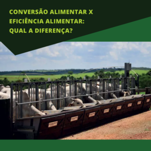 conversao alimentar x eficiencia alimentar