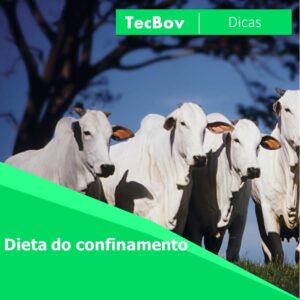 dieta-do-confinamento