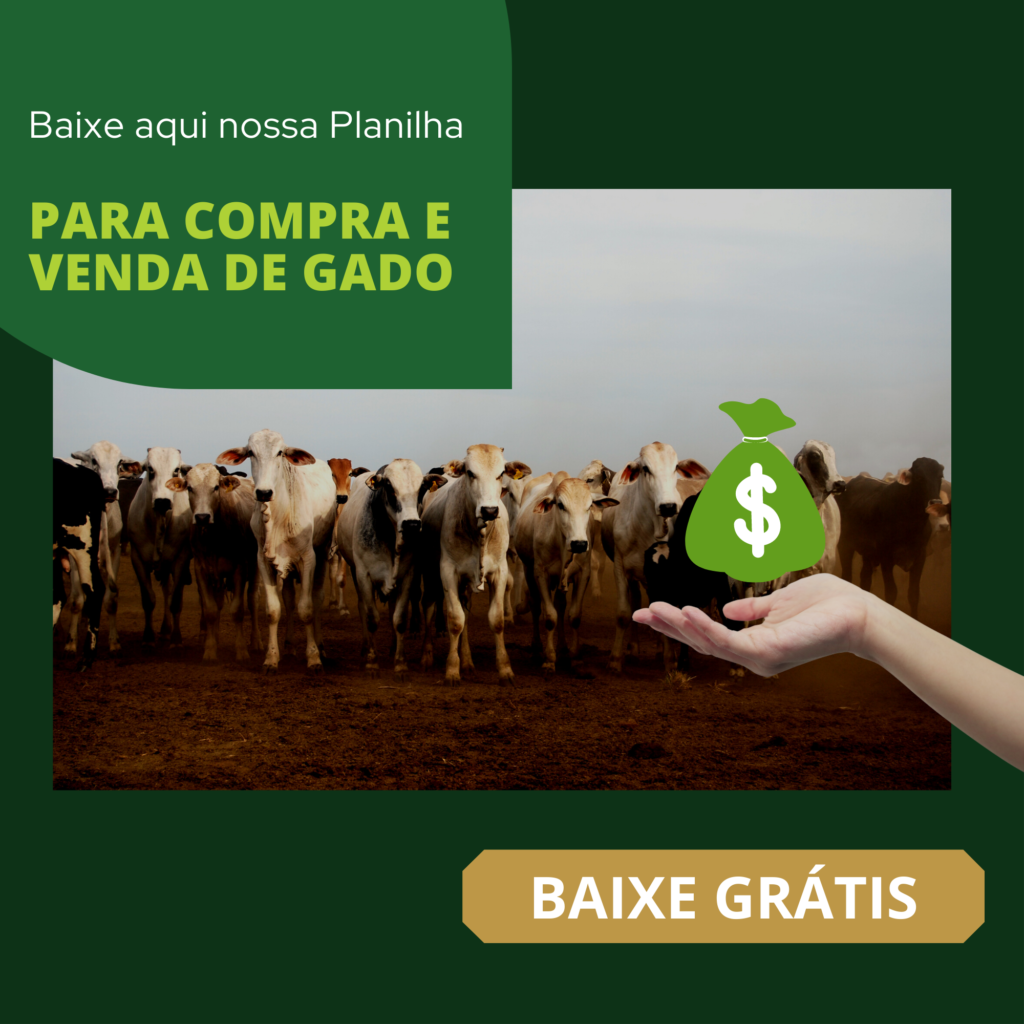 planilha-para-compra-e-venda-de-gado-gratis