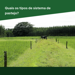 quais-os-tipos-de-sistema-de-manejo