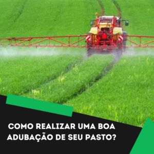 Como realizar uma boa adubação de seu pasto