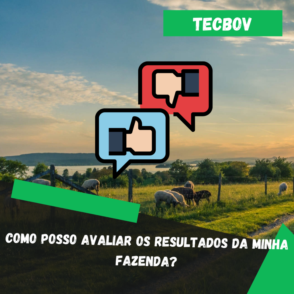 como realizar a avaliação dos meus resultados na fazenda