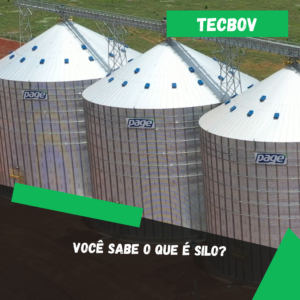 voce-sabe-o-que-e-silo