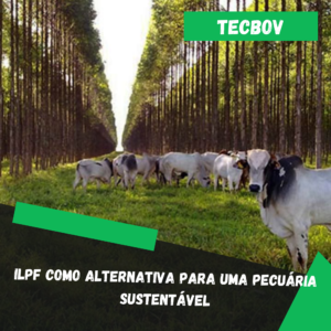 ILPF como alternativa para uma pecuária sustentável
