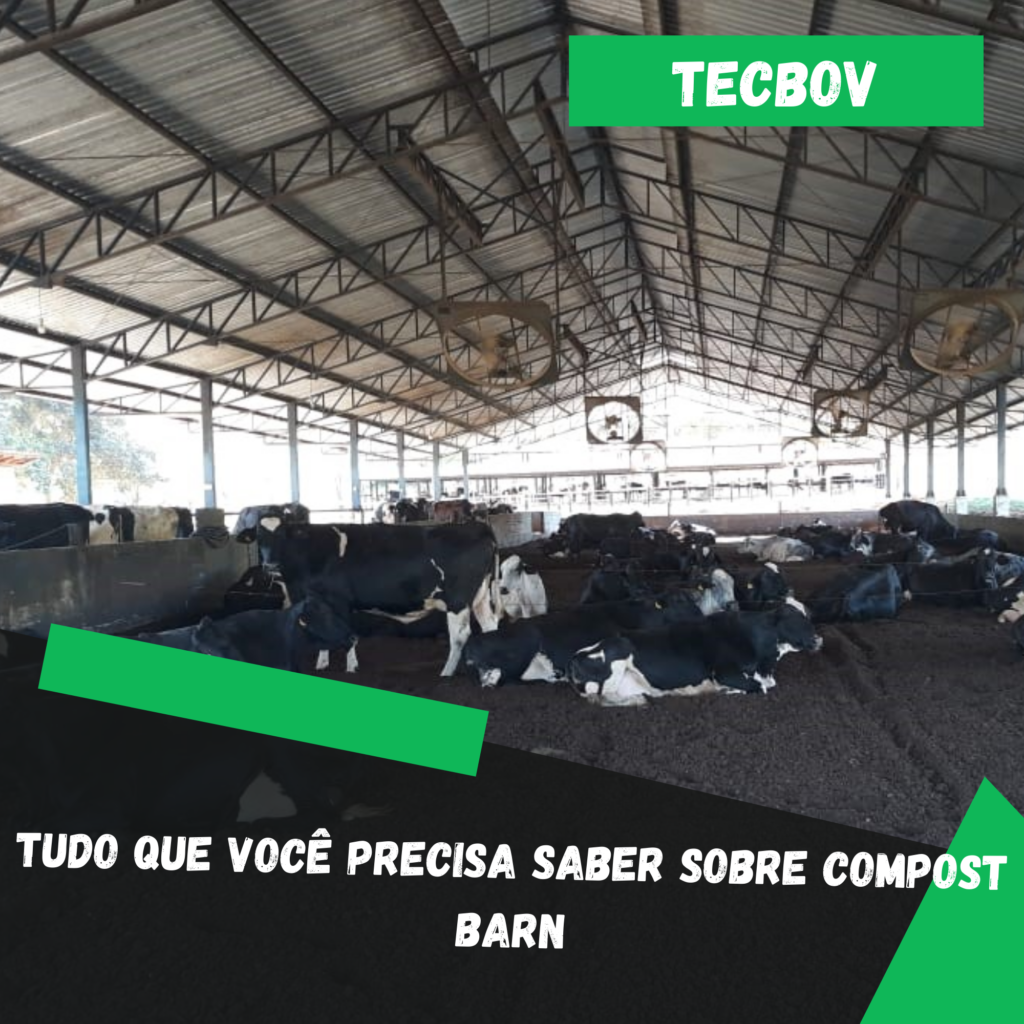 tudo que voce precisa saber sobre compost barn