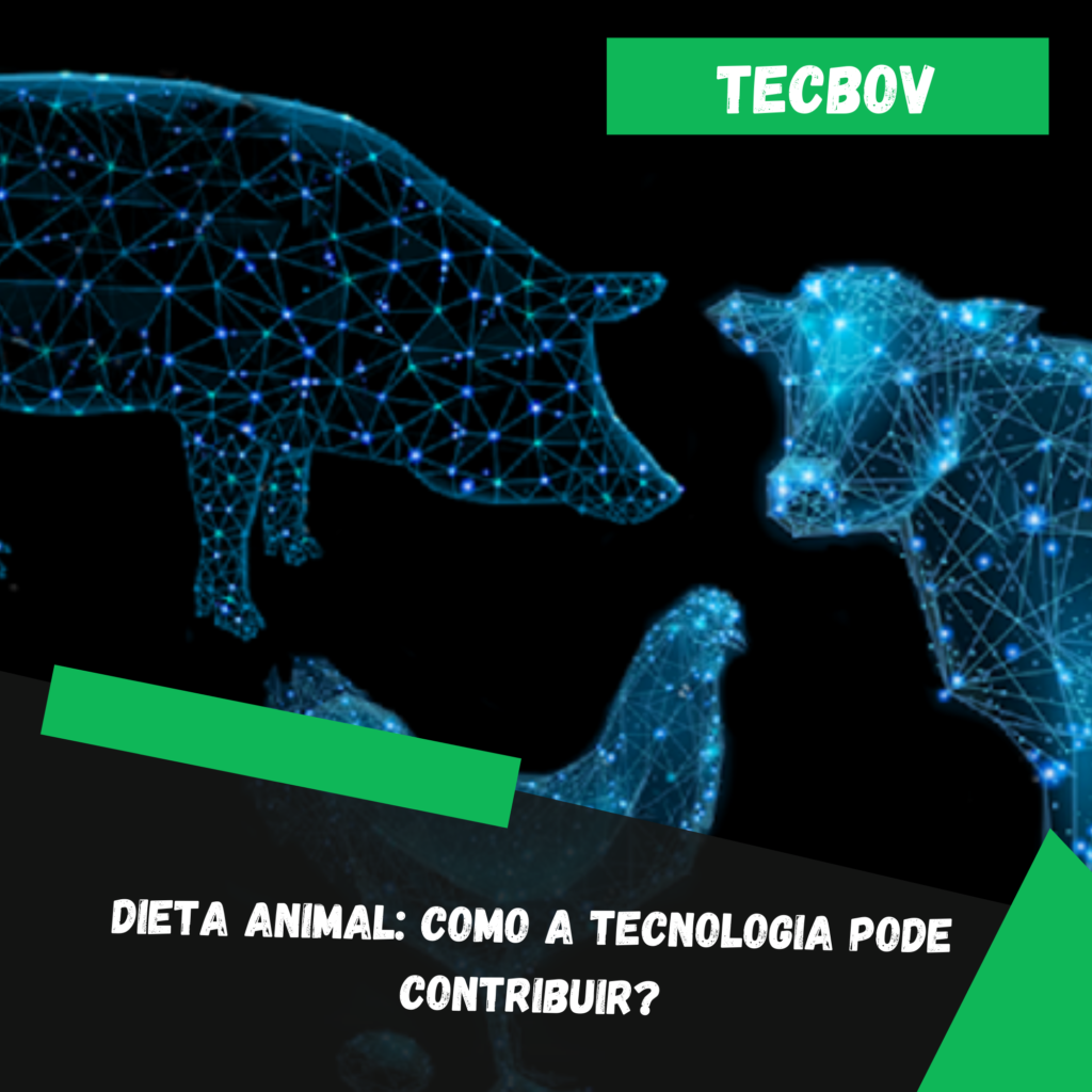 dieta-animal-como-a-tecnologia-pode-contribuir