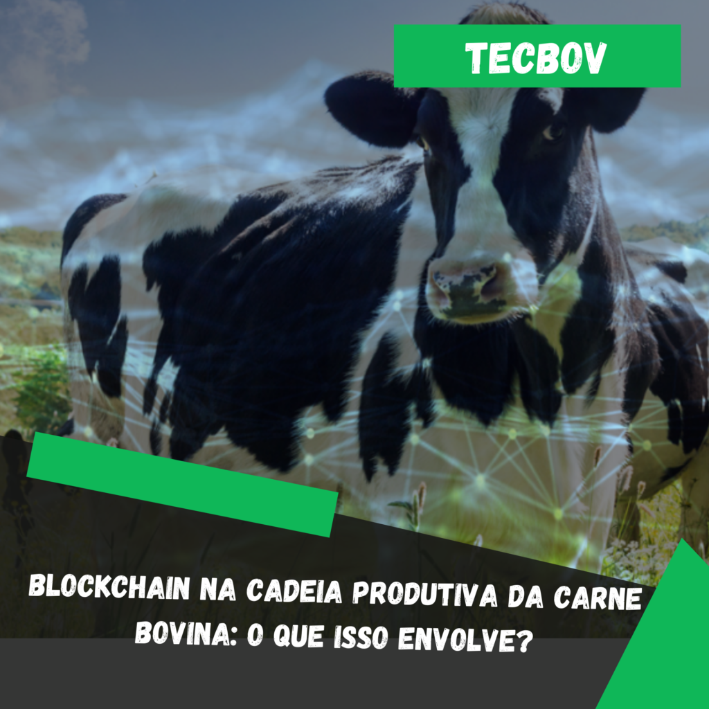 Blockchain na Cadeia Produtiva da Carne Bovina