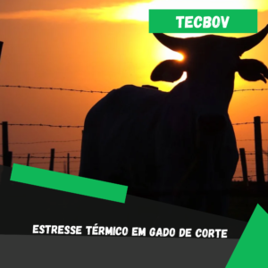Estresse termico gado de corte