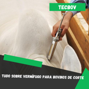 vermifugo-para-bovinos