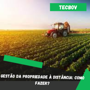 Gestão da propriedade à distância: Como fazer?