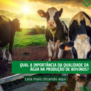 qual-a-importancia-da-qualidade-agua-na-producao-de-bovinos