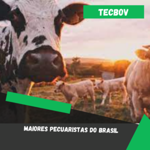 Maiores pecuaristas do Brasil