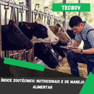 Índice zootécnico: nutricionais e de manejo alimentar