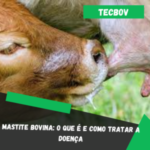Mastite bovina