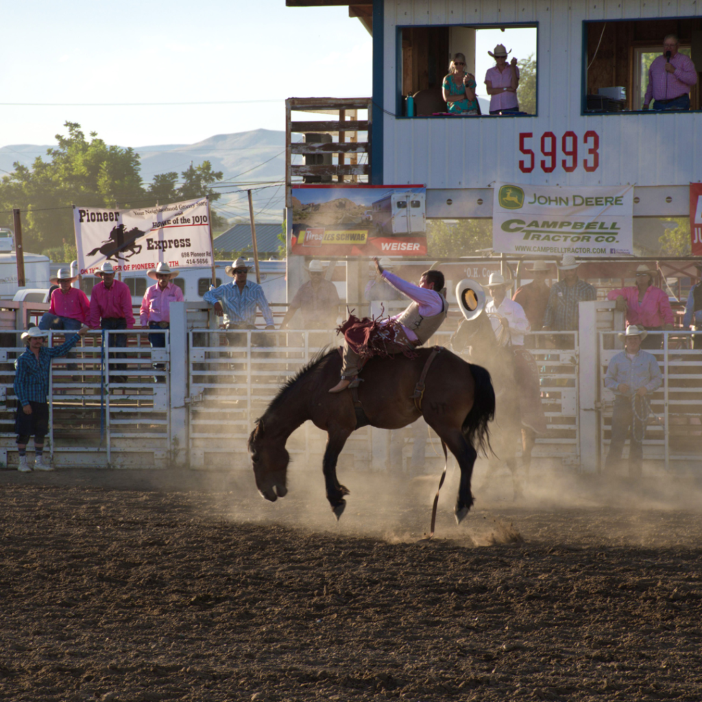 Adamantina Rodeo Festival 2022