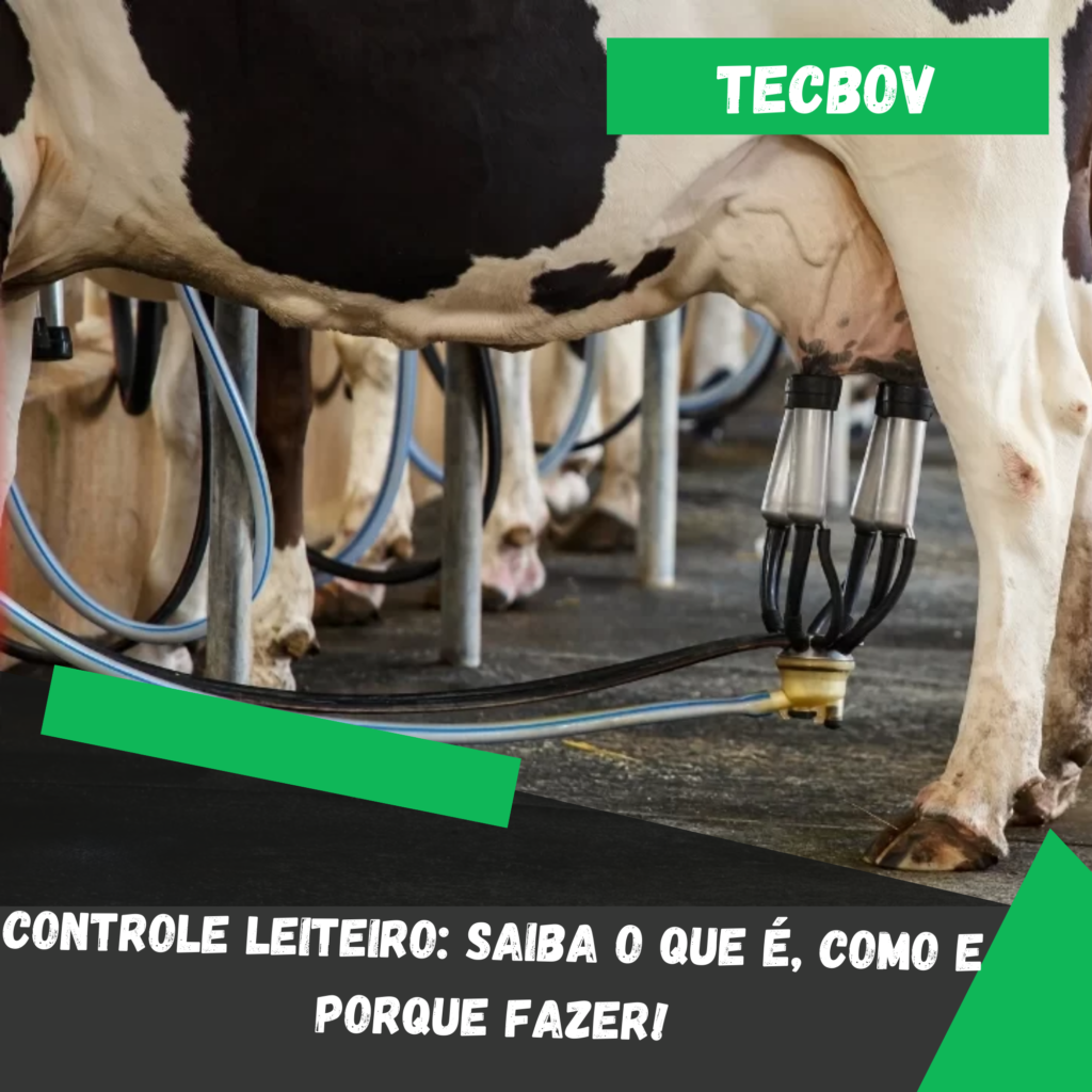 Controle leiteiro