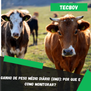 Ganho-de-Peso-Medio-Diario-GMD-Por-que-e-como-monitorar-