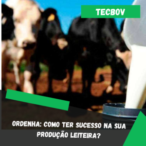 Ordenha-Como-ter-sucesso-na-sua-producao-leiteira