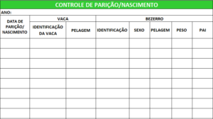 controle-de-paricao-excel