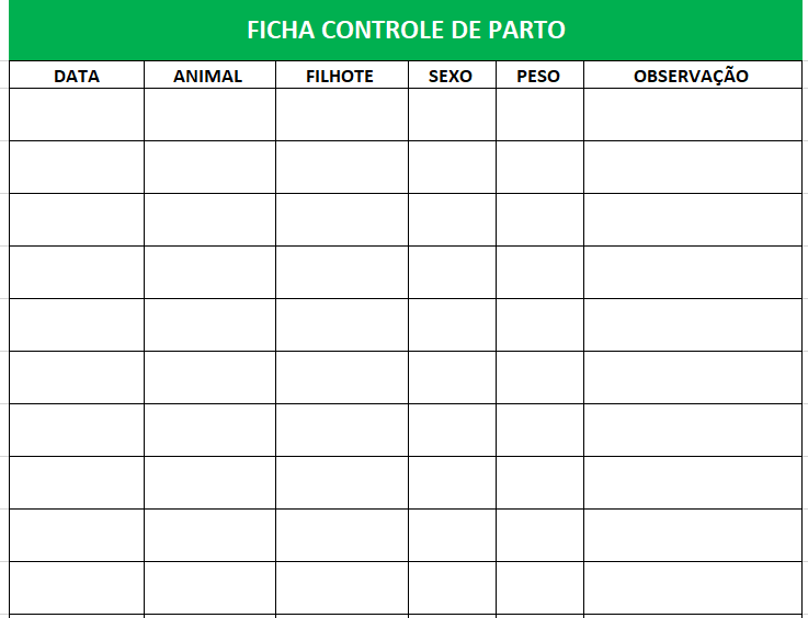 ficha-controle-de-parto