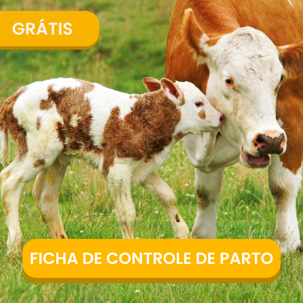 Ficha de Controle de Parto