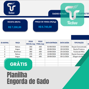 planilha-engorda-de-gado