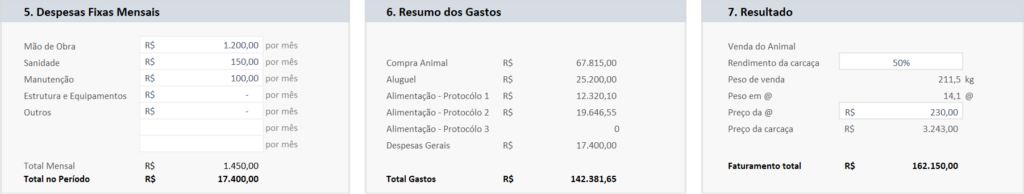 Planilha de Previsão de Lucros na Pecuária - Despesas fixas e resumo dos gastos