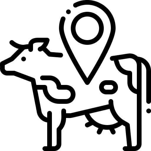 vaca 3 - Tecbov